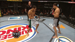 UFC:夜魔 托尼-弗格森 VS 拉姆齐-尼杰姆